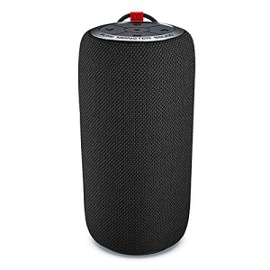 Monster S310 Bluetooth Speaker